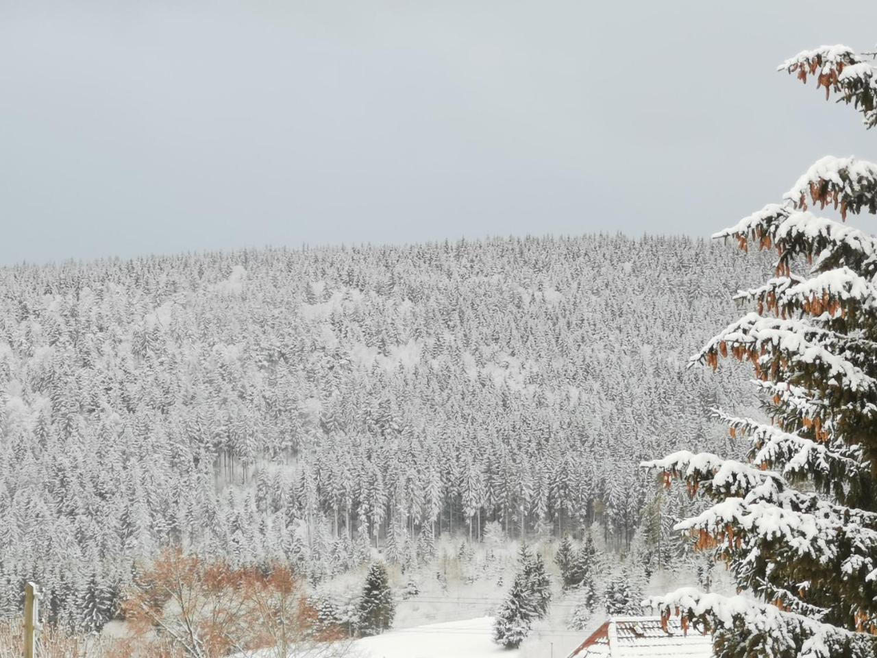 Hohengasthof Rossle Hotel Шлухзее Екстериор снимка